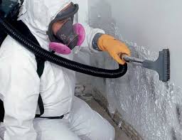 Best HVAC Mold Inspection and Cleaning  in , IL